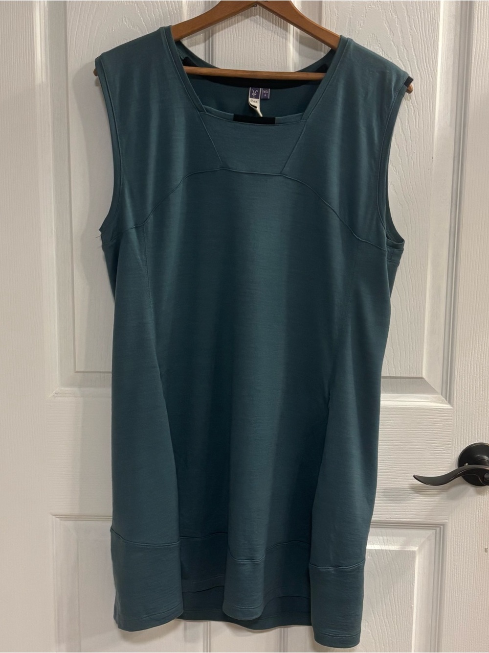 ibex Teal Sleeveless Tunic Dress